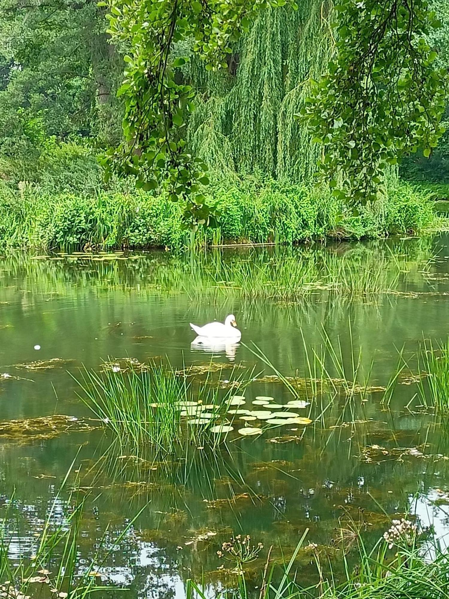 ,,Zielona Przystan Nad Morzem" Gdansk - Przymorze Gdańsk Exterior foto