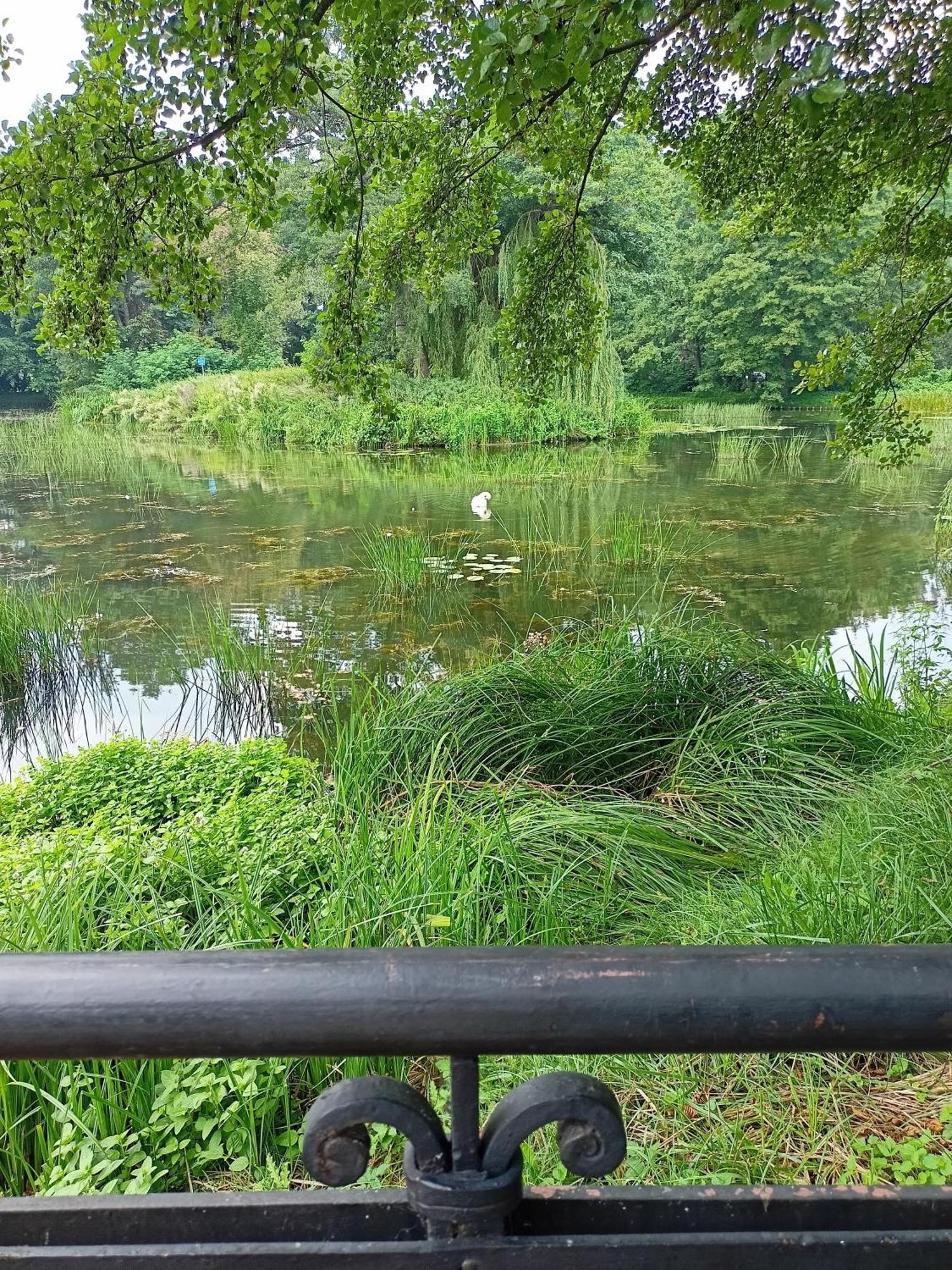 ,,Zielona Przystan Nad Morzem" Gdansk - Przymorze Gdańsk Exterior foto